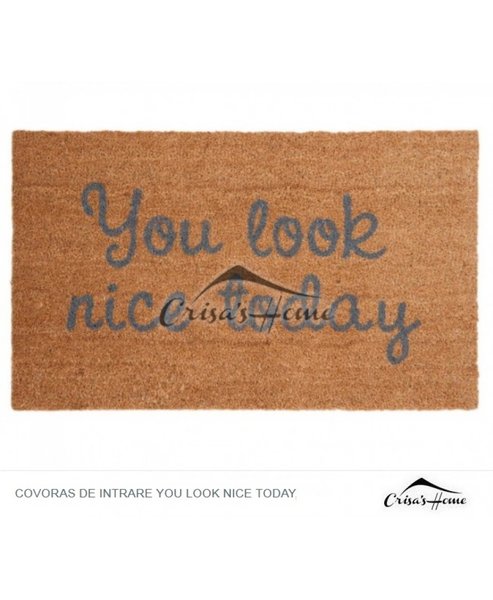 Covoras de intrare You Look Nice Today